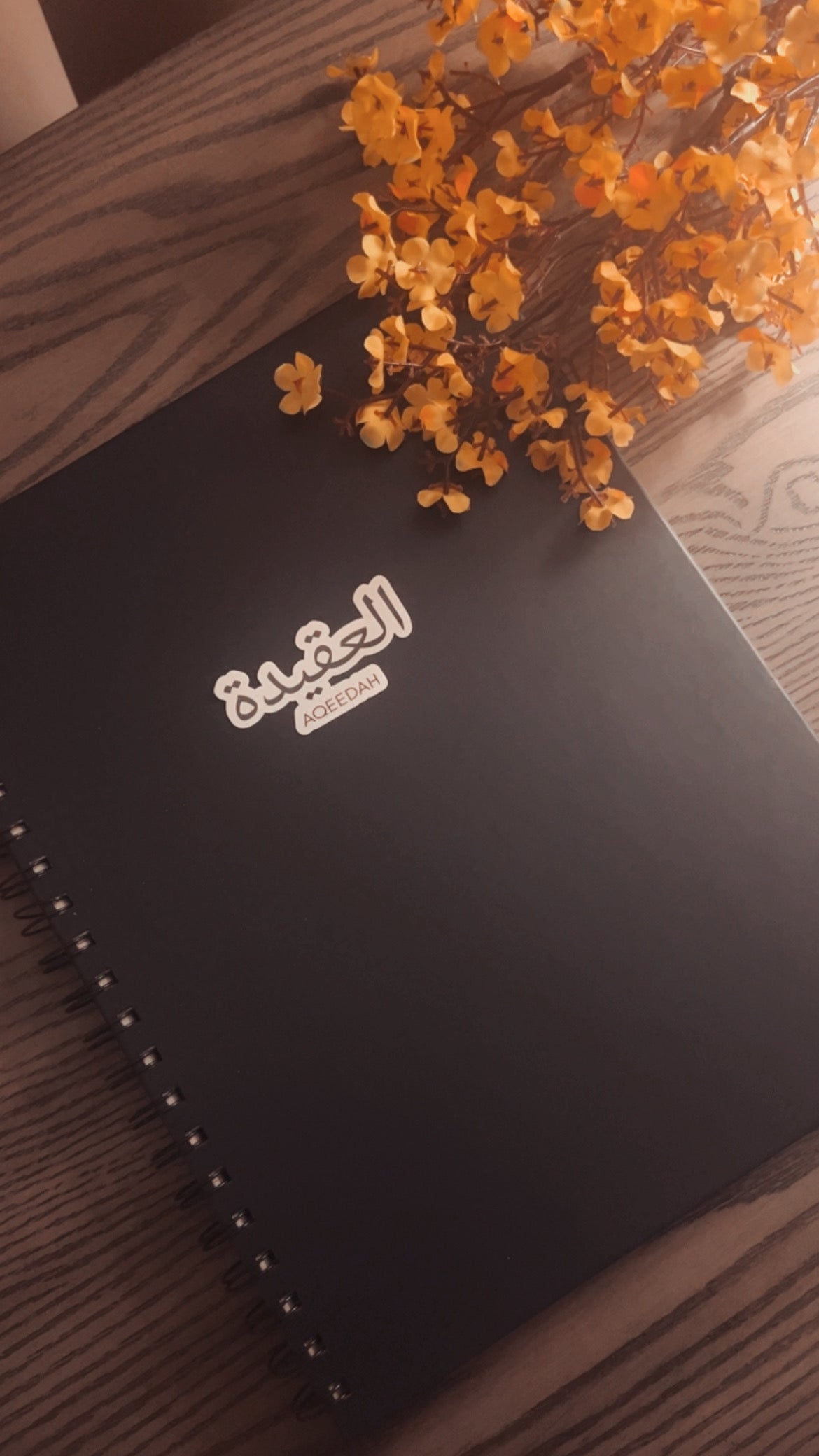 Islamic Science Sticker Set