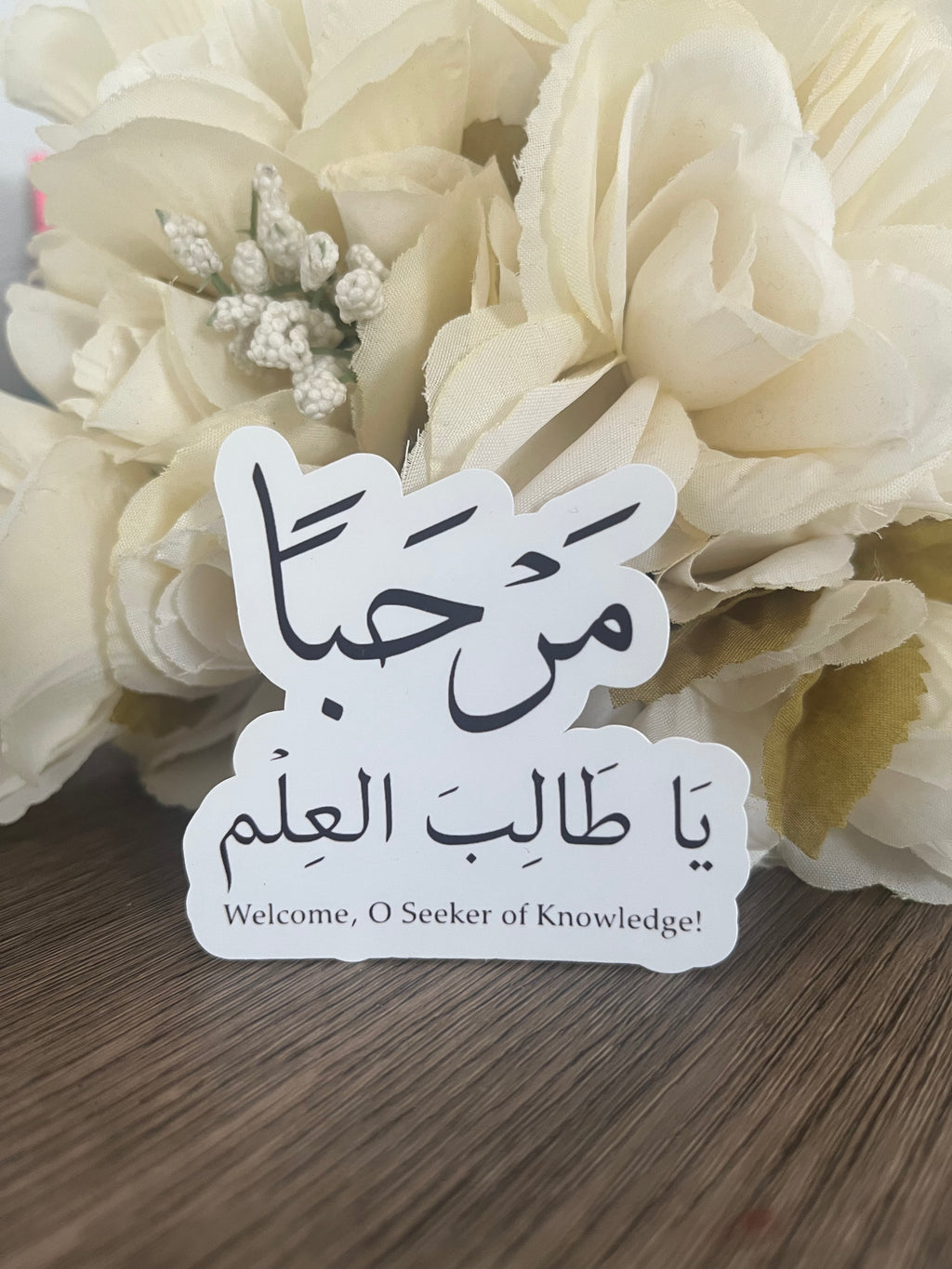 Seeker of Knowledge Sticker