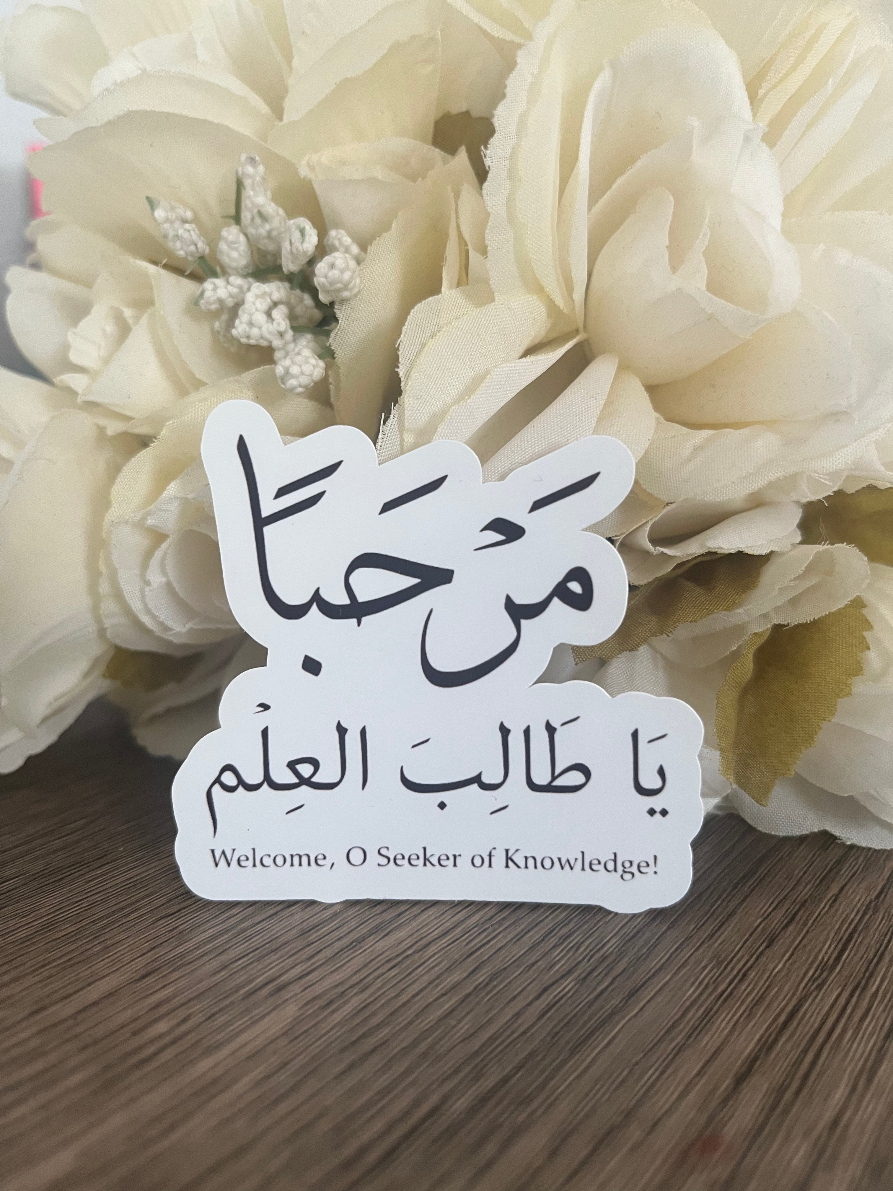 Seeker of Knowledge Sticker