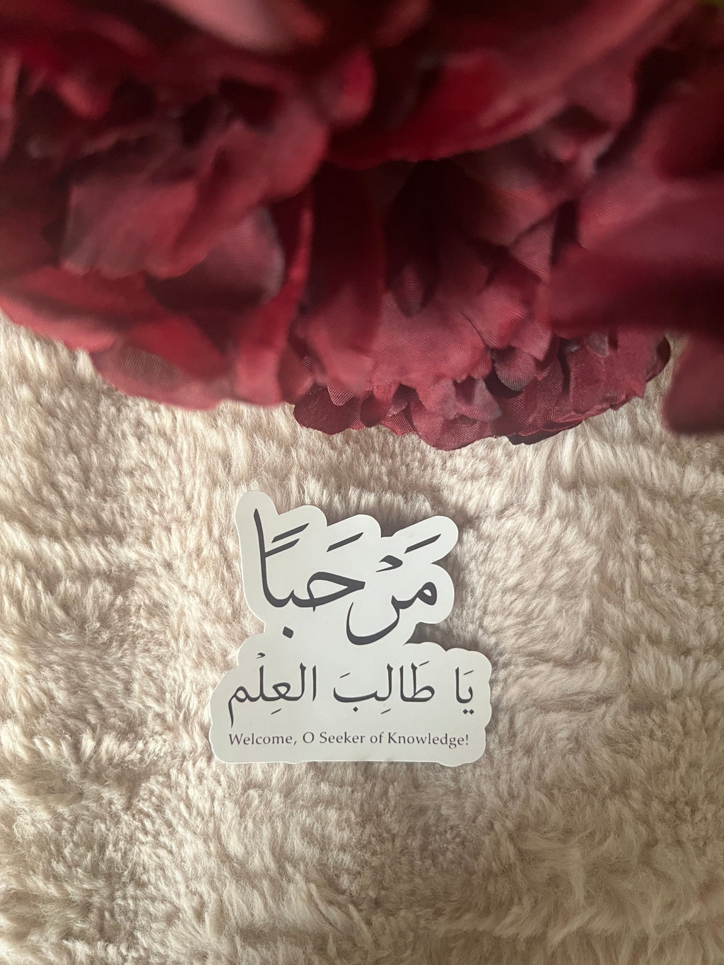 Seeker of Knowledge Sticker